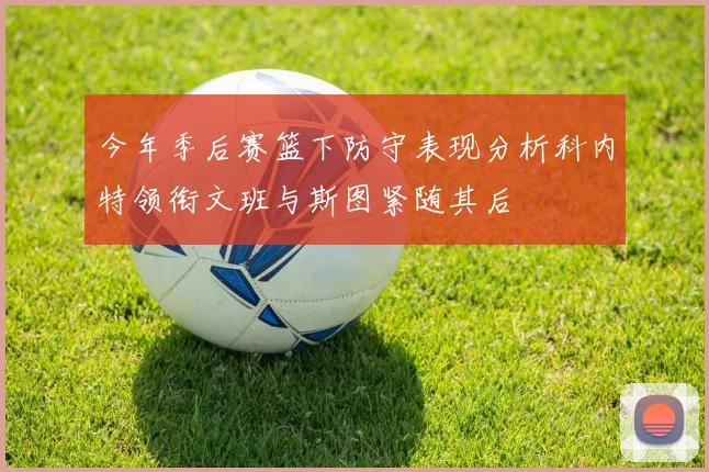 今年季后赛篮下防守表现分析科内特领衔文班与斯图紧随其后
