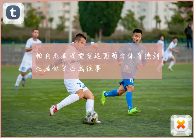 帕利尼亚渴望重返葡萄牙体育热刺生涯似乎已成往事